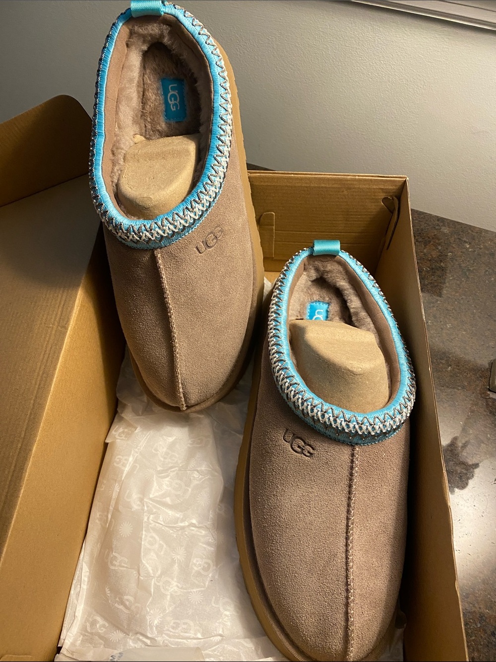 UGG Women's Chestnut Suede Slip-On Slippers with Aqua Trim